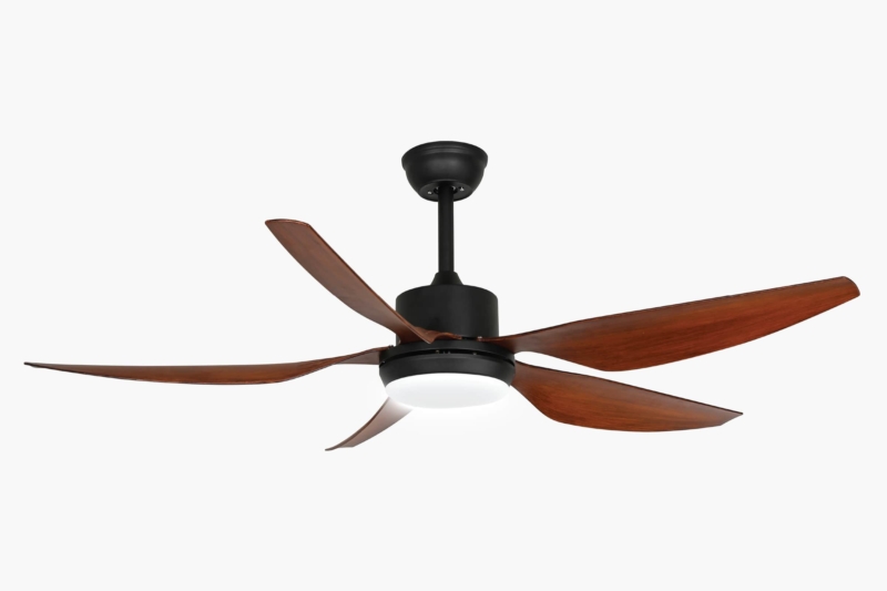 Quạt trần chung cư