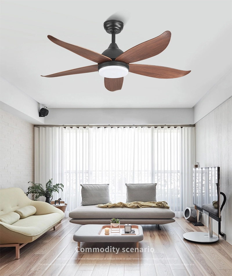 Quạt trần phòng khách