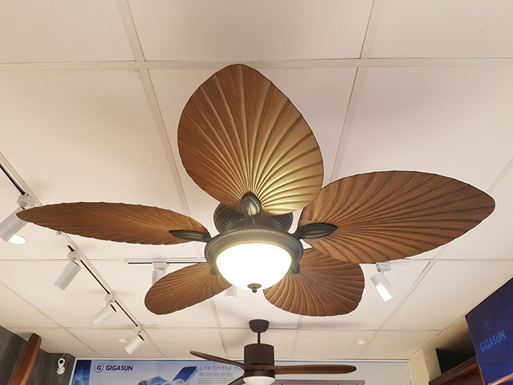 Quạt cao cấp