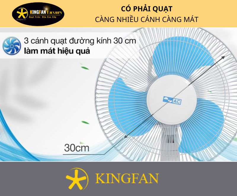 Quạt Càng Nhiều Cánh Càng Mát Thực hư quạt càng nhiều cánh càng mát