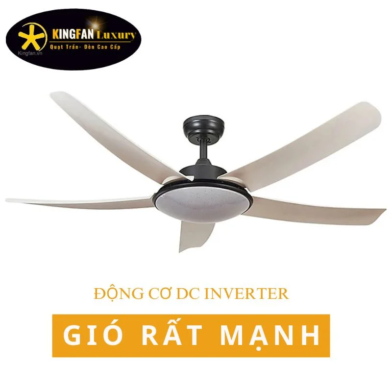 Quạt Trần Đèn Hiện Đại Siêu Mát- KFHL802T quat tran hien dai kingfan